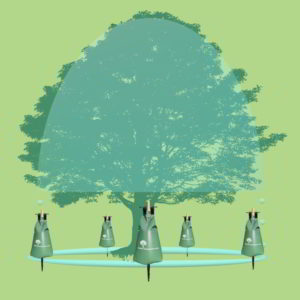 Wassersack Baum Bewässerung großer alter Bäume ©Reinhard Lippmann